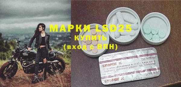 прущие грибы Абдулино