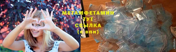 прущие грибы Абдулино