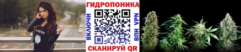 Бошки марихуана Bruce Banner  Хабаровск 